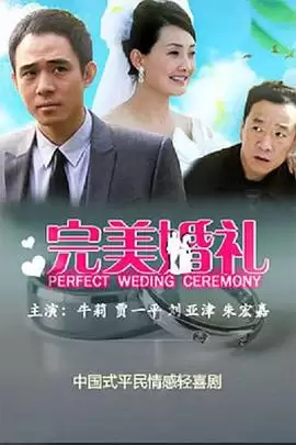 电视剧《完美婚礼》剧情介绍