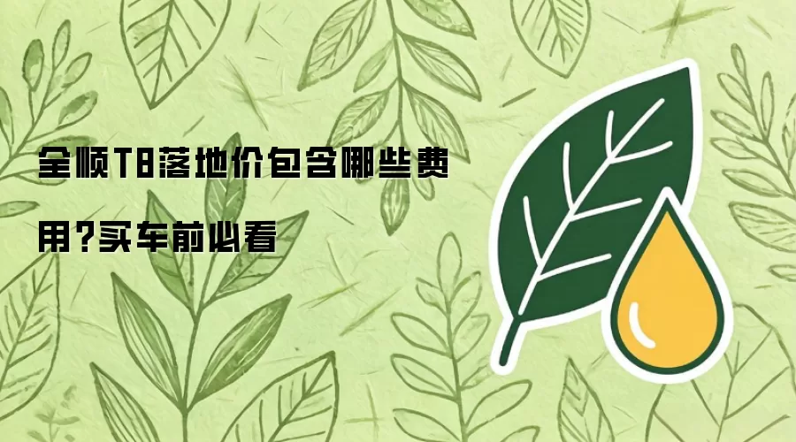 全顺T8落地价包含哪些费用？买车前必看