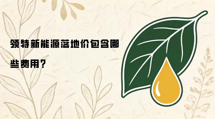 领特新能源落地价包含哪些费用？