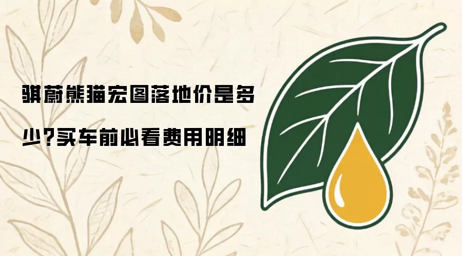 骐蔚熊猫宏图落地价是多少？买车前必看费用明细