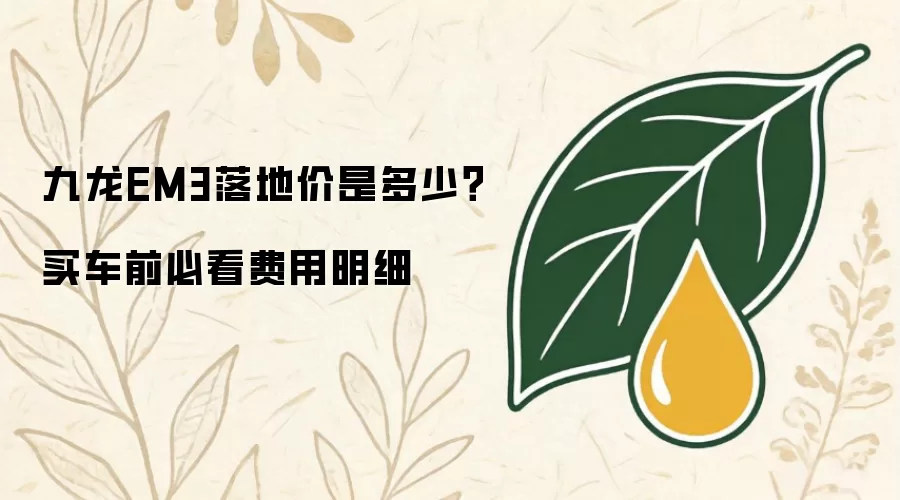 九龙EM3落地价是多少？买车前必看费用明细