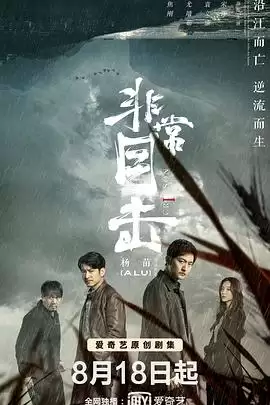 电视剧《非常目击》剧情介绍