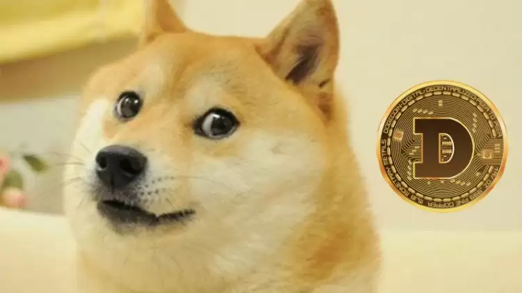 值得关注的Meme币