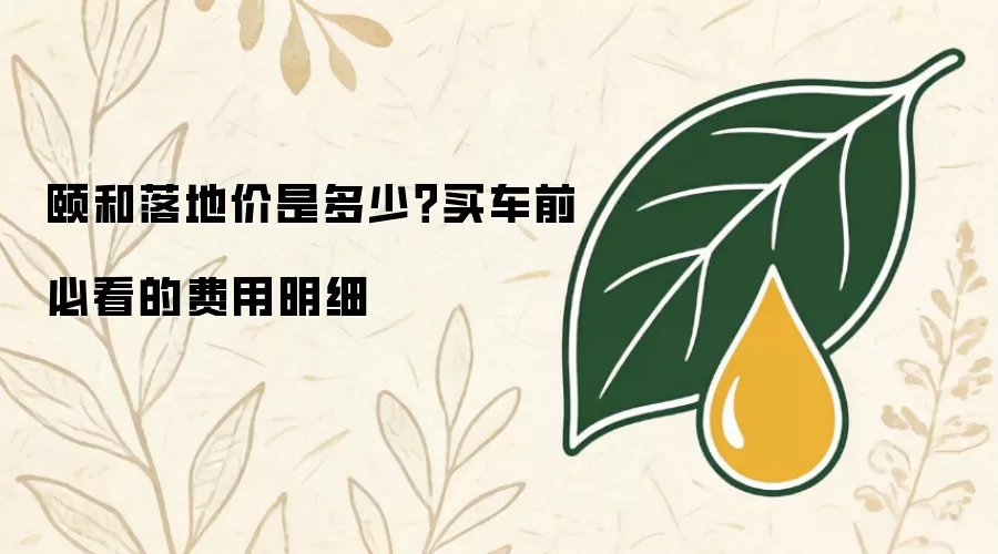 颐和落地价是多少？买车前必看的费用明细