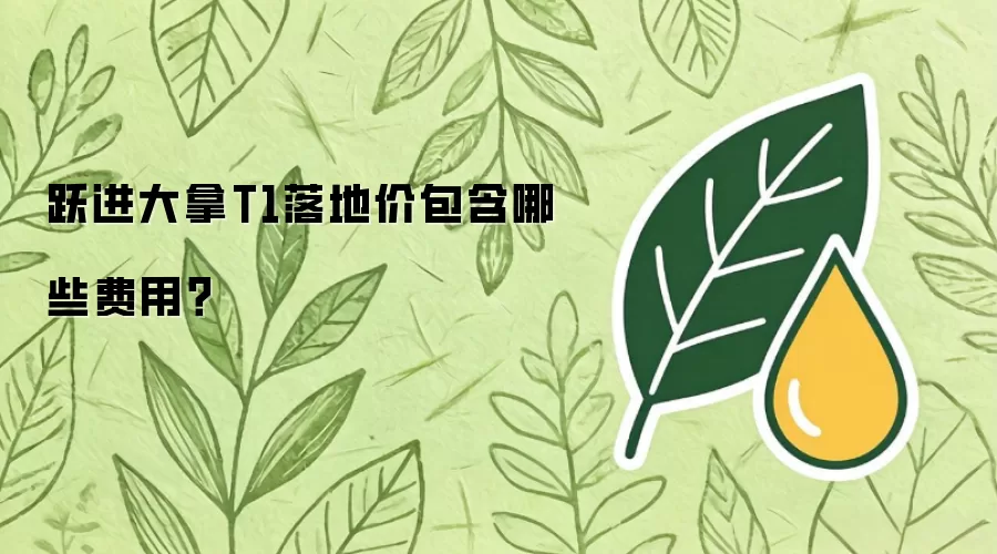 跃进大拿T1落地价包含哪些费用？