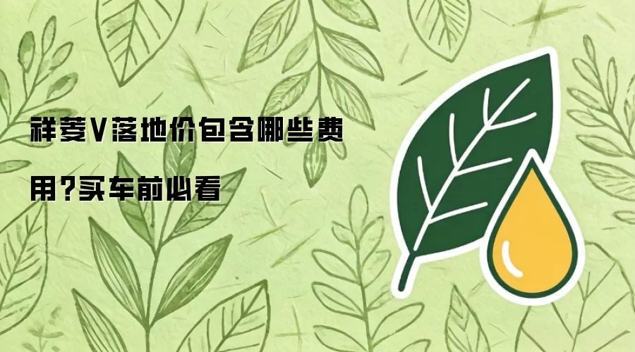 祥菱V落地价包含哪些费用?买车前必看