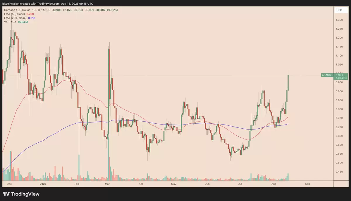 卡尔达诺（Cardano）分析师预测：未来数周或将迎来150%的“强势牛市反弹”