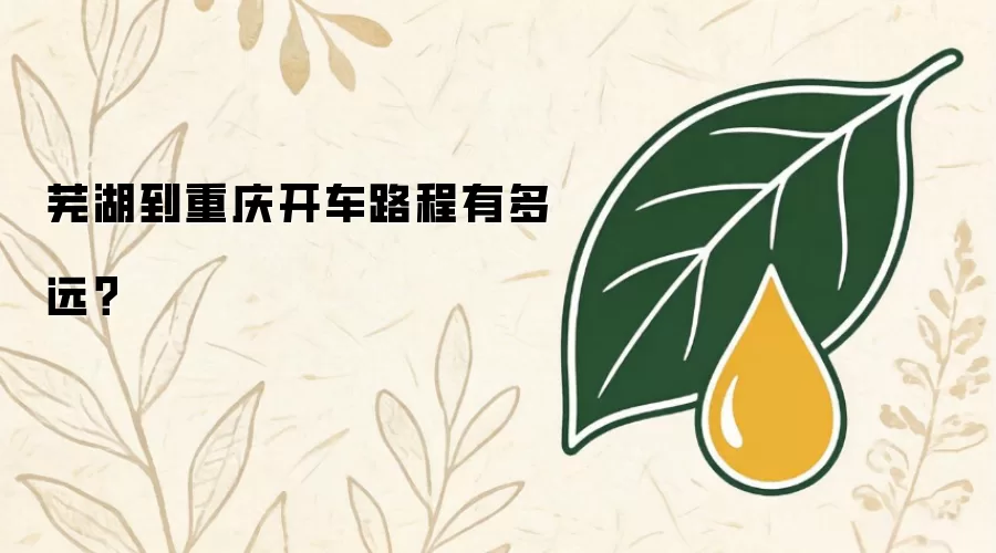 芜湖到重庆开车路程有多远？