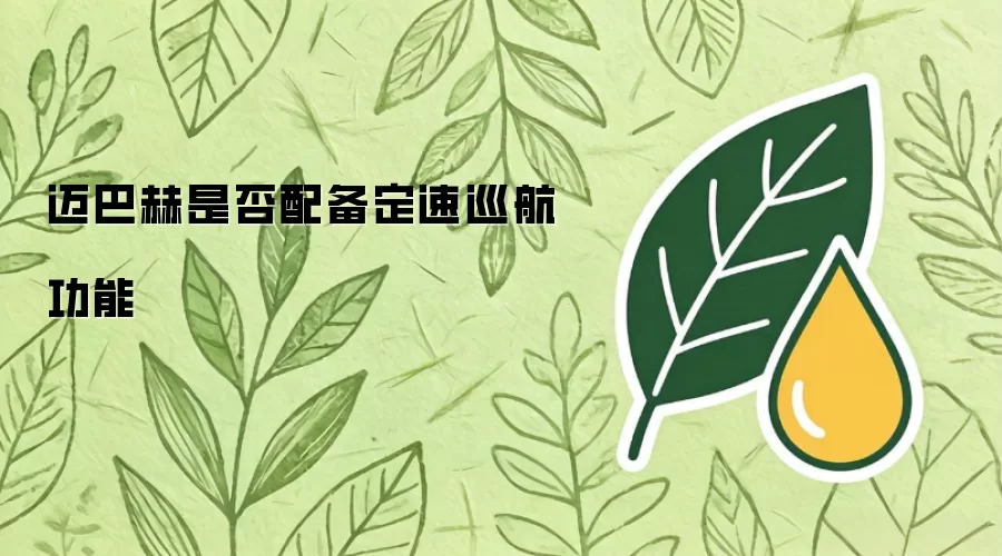 迈巴赫是否配备定速巡航功能