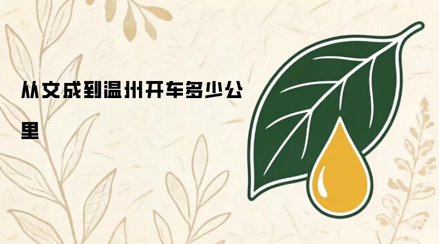 从文成到温州开车多少公里