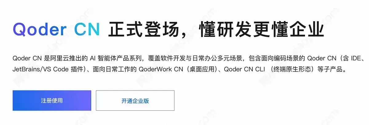 阿里云Qoder CN（原通义灵码）：产品定位、版本划分与技术适配完整说明