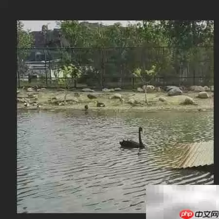 还原真实：图片背景色彩校正技巧