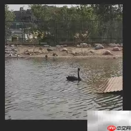 还原真实：图片背景色彩校正技巧