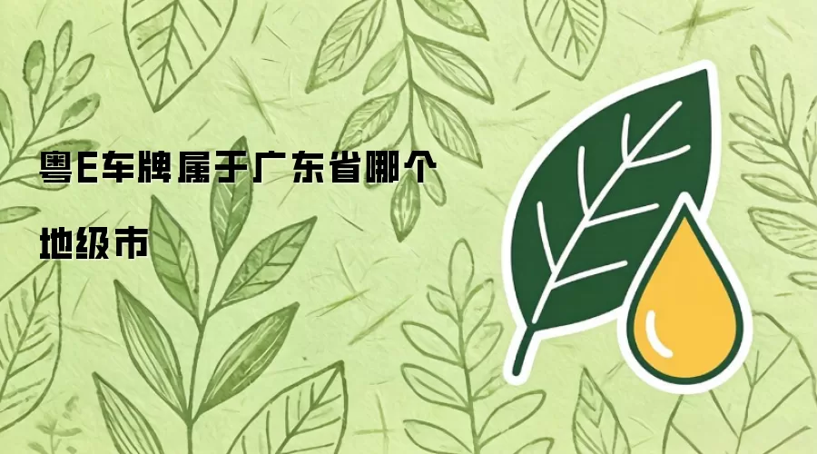 粤E车牌属于广东省哪个地级市