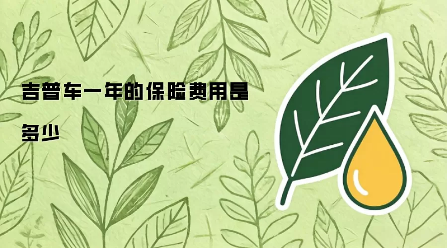 吉普车一年的保险费用是多少