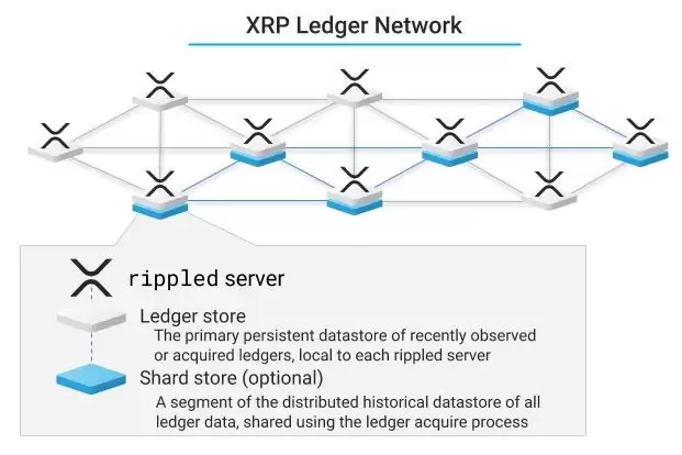 什么是XRP账本(XRPL)?有什么区别?XRPL新手入门指南