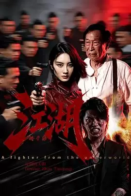 电影《江湖格斗家》剧情介绍