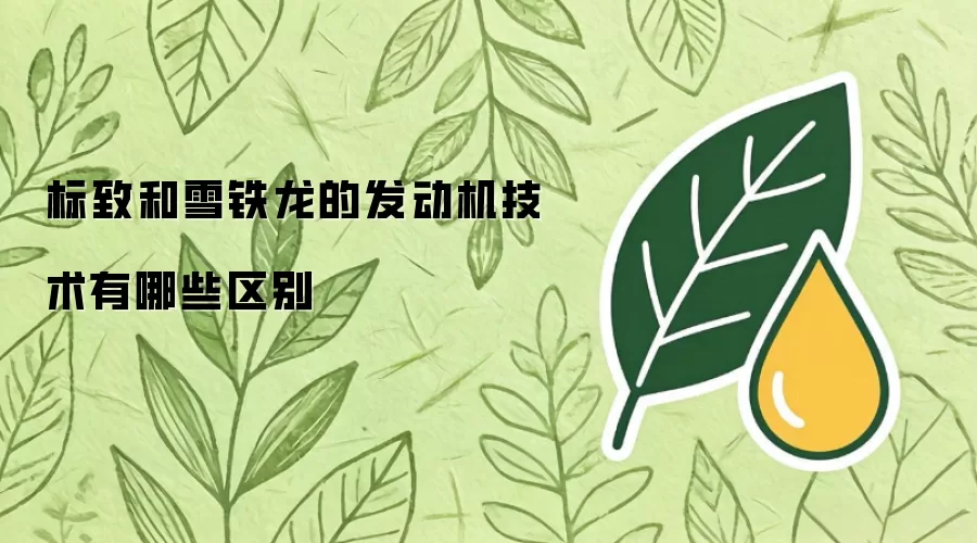标致和雪铁龙的发动机技术有哪些区别