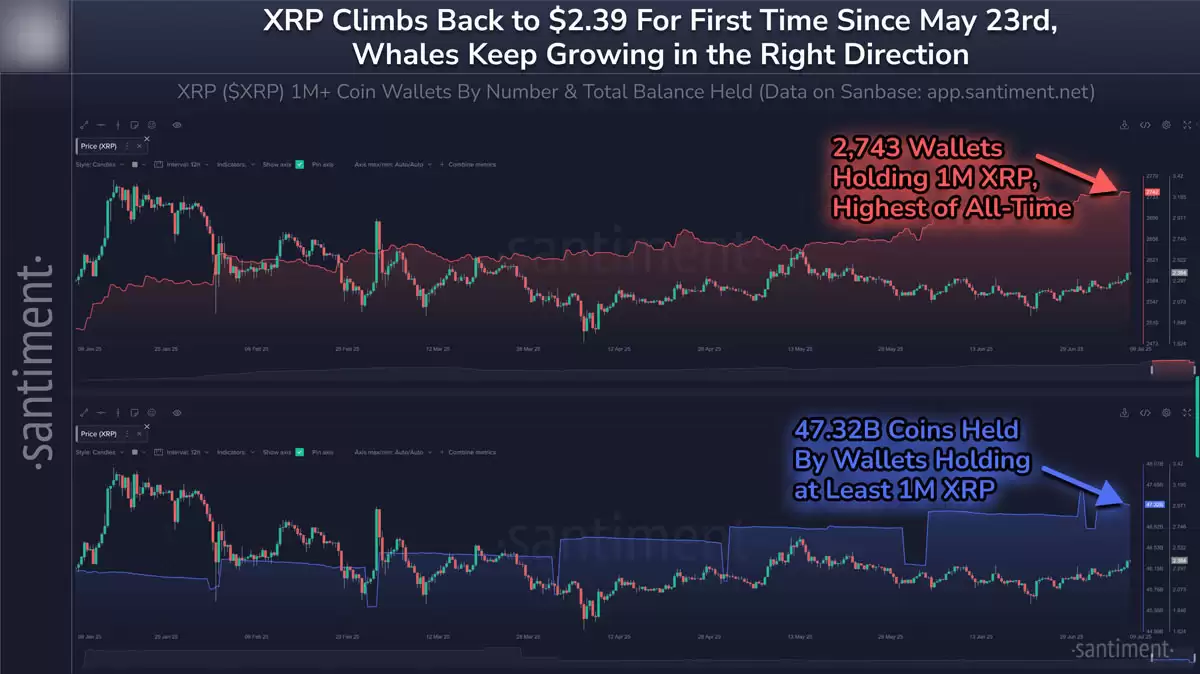 XRP vs ETH：哪种代币在巨鲸推动的行情中表现更佳？