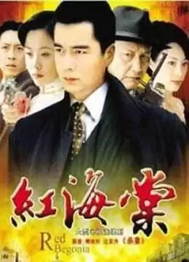 电视剧《红海棠》剧情介绍