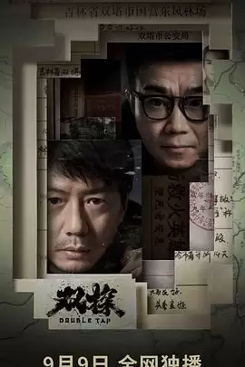 电视剧《双探》剧情介绍