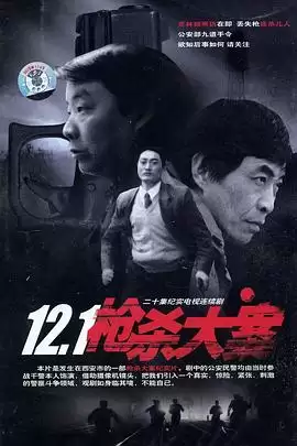 电视剧《12·1枪杀大案》剧情介绍