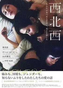 电影《西北西》剧情介绍