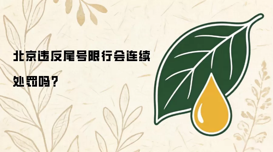 北京违反尾号限行会连续处罚吗？