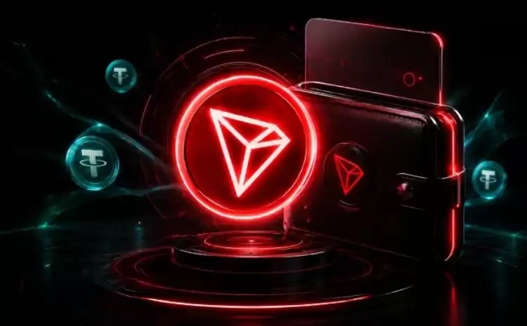 2026年最佳波场(Tron)和TRC20wallet评测:6大顶级wallet全面对比