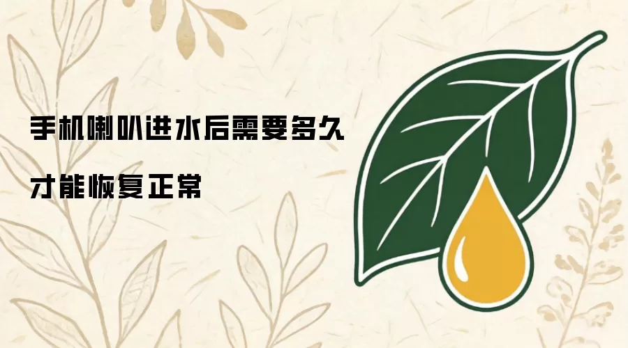手机喇叭进水后需要多久才能恢复正常