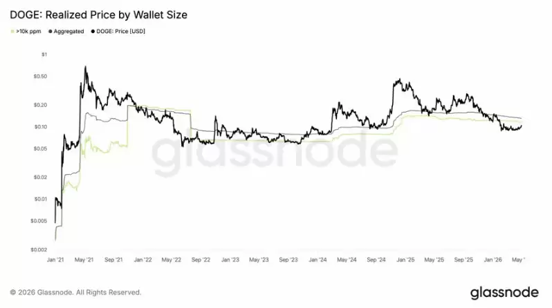 触底信号显现？巨鲸入场助力狗狗币（DOGE）冲击20%涨幅