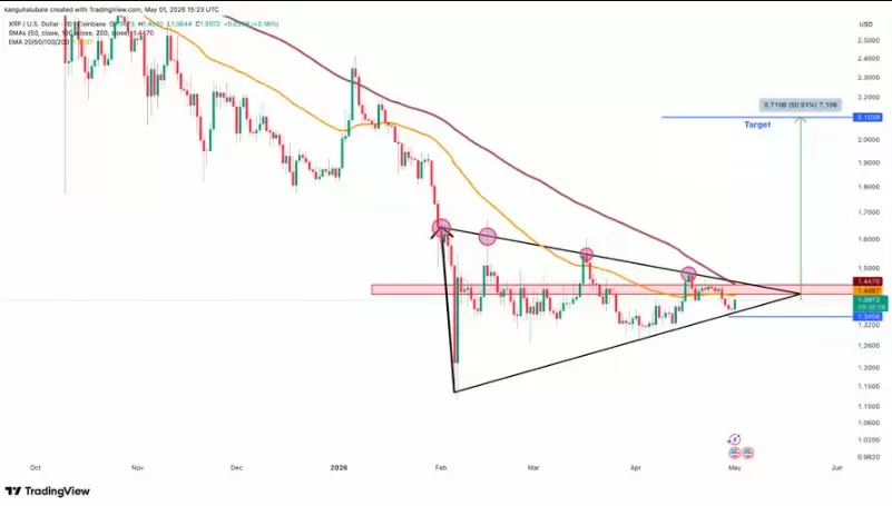 瑞波币（XRP）情绪创两年新高,价格为何纹丝不动？