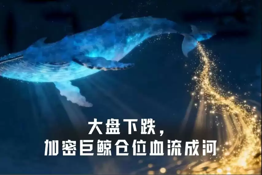 BTC跌破6万美元、ETH失守1600美元,加密巨鲸在为市场扛单？