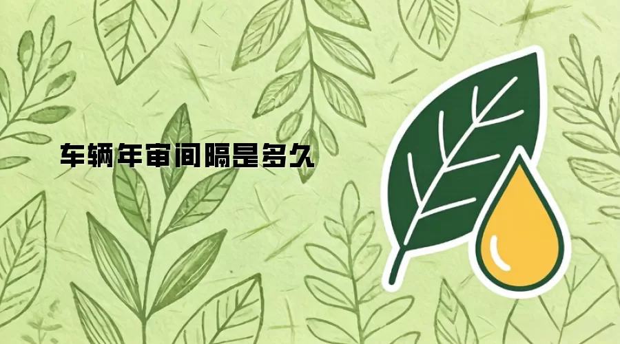 车辆年审间隔是多久