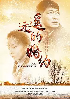 电视剧《遥远的婚约》剧情介绍