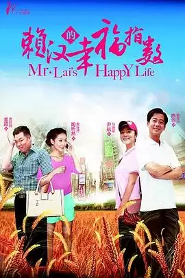电视剧《赖汉的幸福指数》剧情介绍