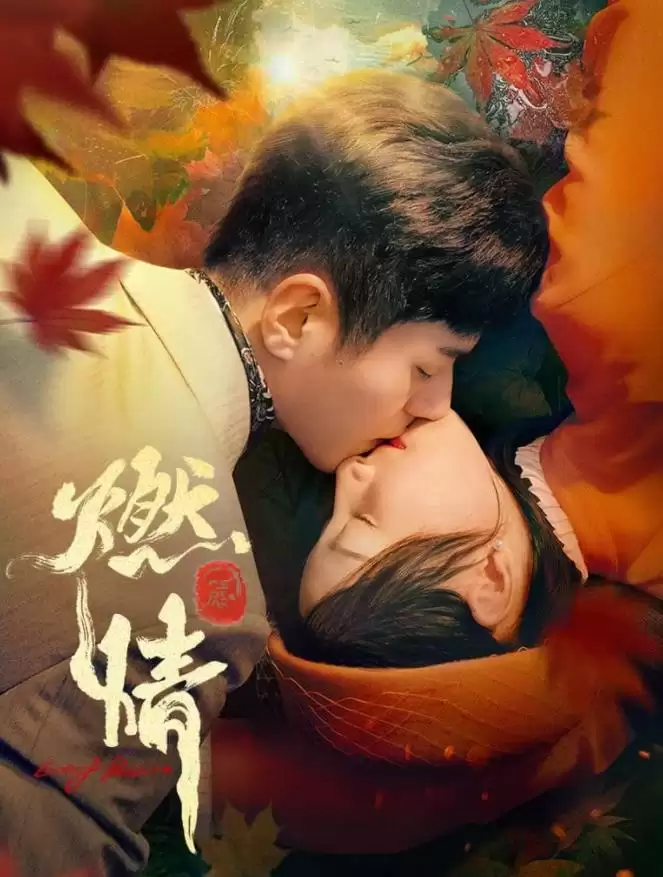 电视剧《燃情》剧情介绍