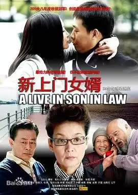 电视剧《新上门女婿》剧情介绍