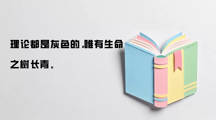 理论都是灰色的，唯有生命之树长青。