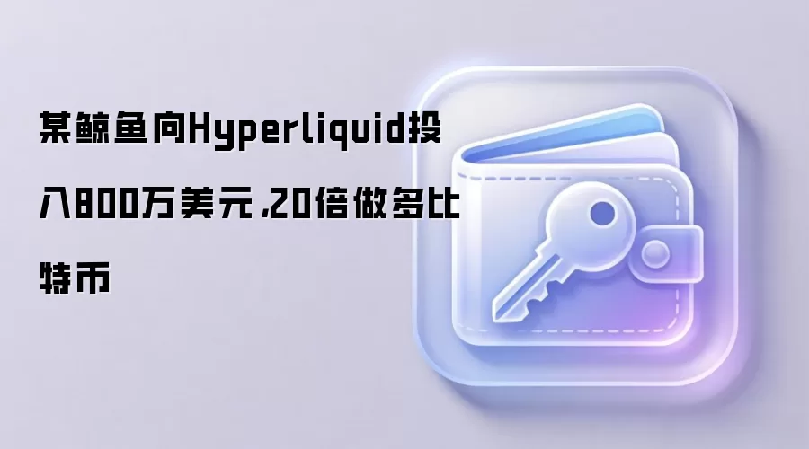 某鲸鱼向Hyperliquid投入800万美元，20倍做多比特币