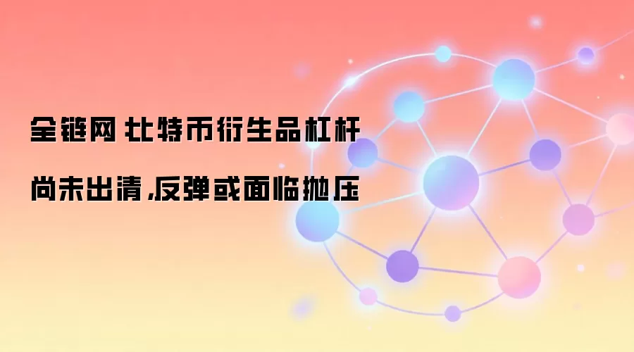 全链网：比特币衍生品杠杆尚未出清，反弹或面临抛压