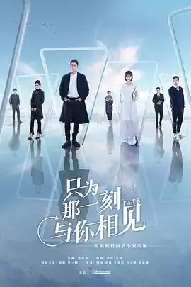 电视剧《只为那一刻与你相见》剧情介绍