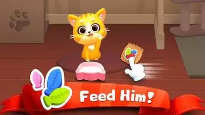 猫猫软件库如何下载资源-猫猫软件库怎样获取资源