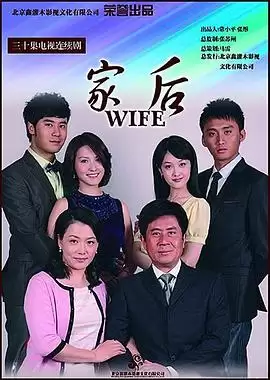 电视剧《家后》剧情介绍