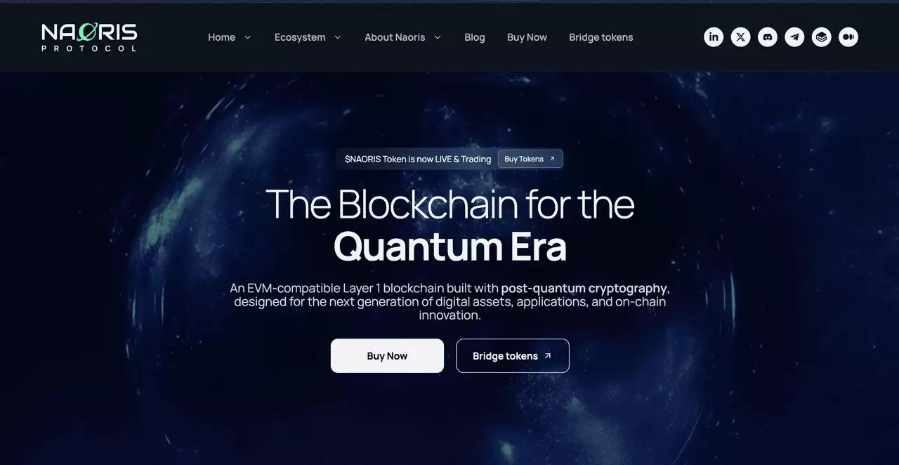 什么是Naoris Protocol (NAORIS)币?后量子加密世界的互联网信任架构介绍