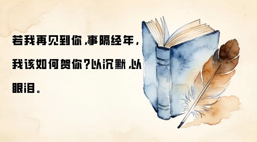 若我再见到你，事隔经年，我该如何贺你？以沉默，以眼泪。