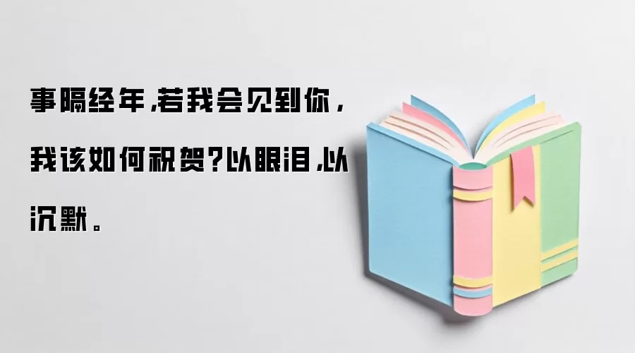 事隔经年，若我会见到你，我该如何祝贺？以眼泪，以沉默。