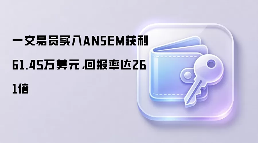一交易员买入ANSEM获利61.45万美元，回报率达261倍