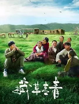 电影《藏草青青》剧情介绍