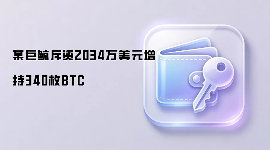 某巨鲸斥资2034万美元增持340枚BTC